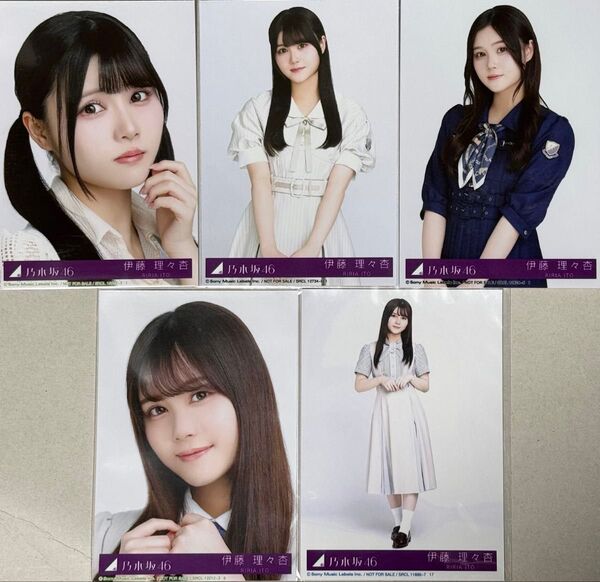 【乃木坂46】伊藤 理々杏/生写真★歩道橋、他(5枚)