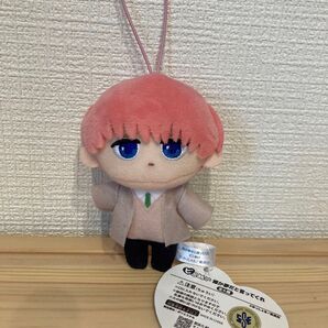 誰か夢だと言ってくれ ピこぬい マスコット ぬいぐるみ 朝日奈雨竜