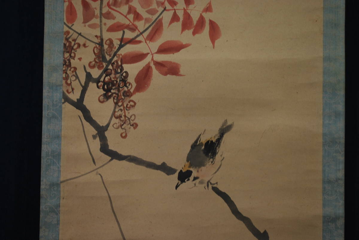 Shinsaku/Ueshima Hozan/Hojas de otoño pájaros pequeños/Hojas de otoño pájaros pequeños//Pergamino colgante☆Barco del tesoro☆U-439 JM, cuadro, pintura japonesa, flores y pájaros, pájaros y bestias