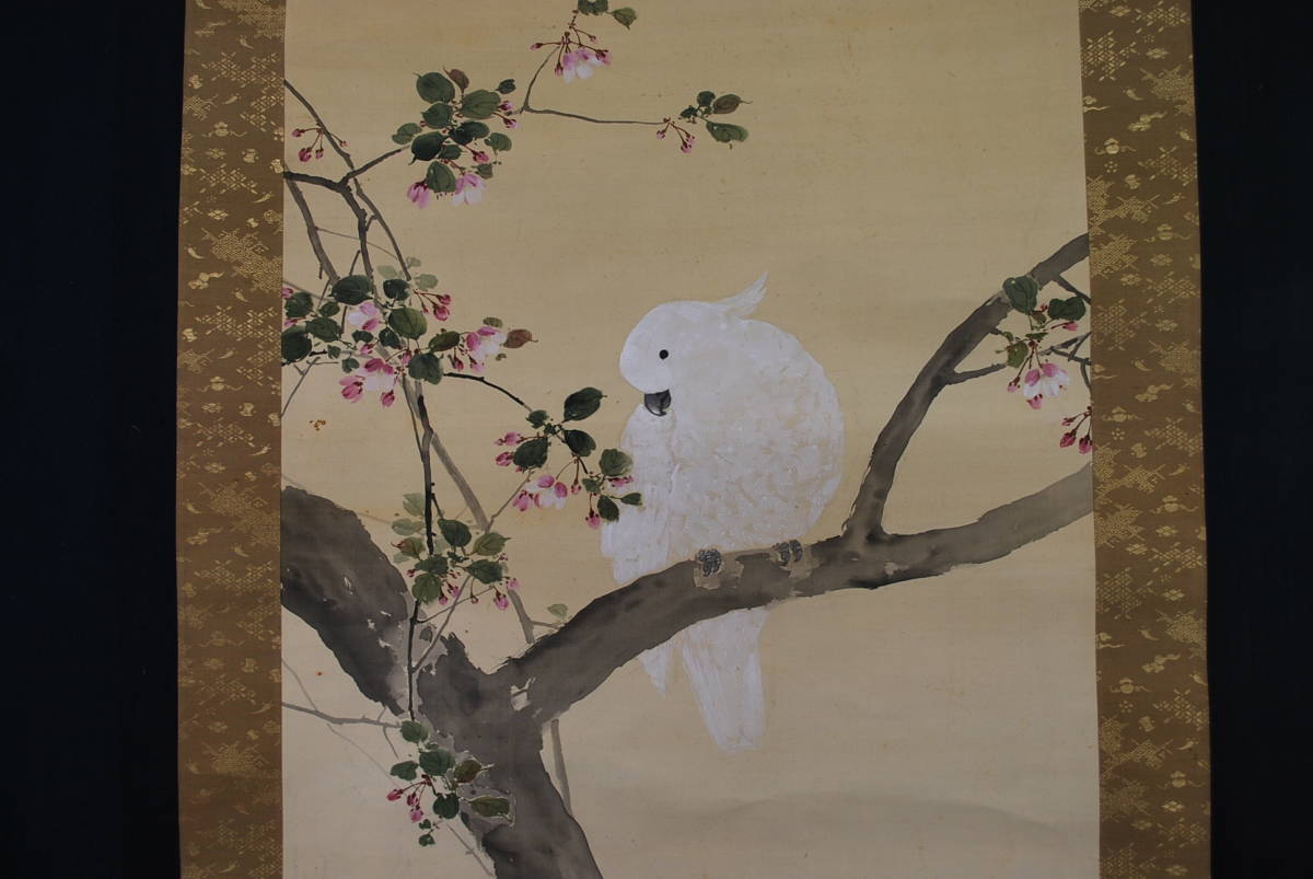 Genuine work / Miyake Goaki / Kaito parrot drawing / Flower and Kaito bird drawing // Hanging scroll ☆ Treasure ship ☆ U-567 JM, painting, Japanese painting, flowers and birds, birds and beasts