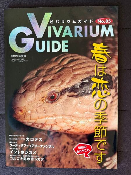 ビバリウムガイド VIVARIUM GUIDE No.85 爬虫類 2019年 夏号 タランチュラ