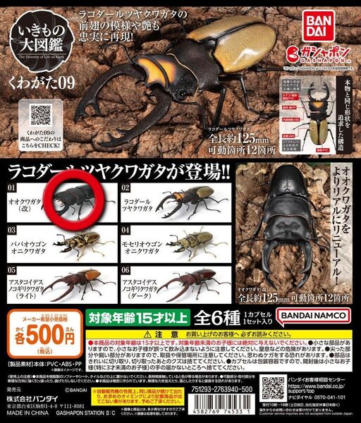 いきもの大図鑑 くわがた09 オオクワガタ(改)