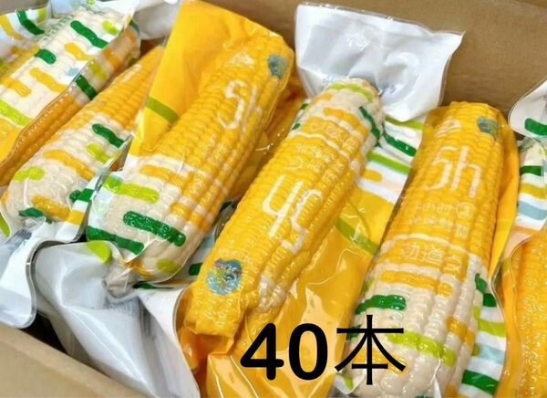 新入荷♪黄糯とうもろこし軸付き【40本入り・1ケース】真空パック もち糯玉米棒 おやつ