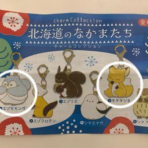 北海道のなかまたち チャーム 2種 キタキツネ、エゾモモンガ