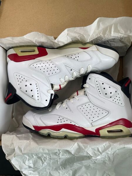 AIR JORDAN NIKE ナイキエアジョーダン6桜木花道カラー