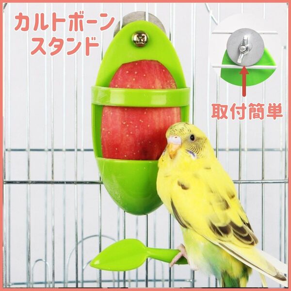 カトルボーン スタンド ホルダー 鳥 おやつ フードホルダー 止まり木