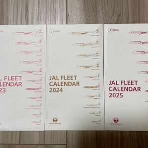 JAL カレンダー 封筒3枚 2023 2024 2025