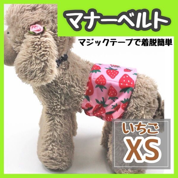 いちご XS マナーバンド マナーベルト マナーウェア 猫服 犬の服 オス マナーパンツ わんこ服