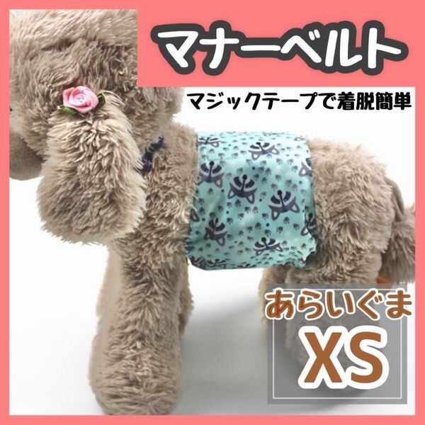 あらいぐま XS マナーバンド マナーベルト マナーウェア 猫服 犬の服 オス マナーパンツ わんこ服