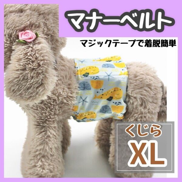 くじら XL マナーバンド マナーベルト マナーウェア 猫服 犬の服 オス マナーパンツ わんこ服