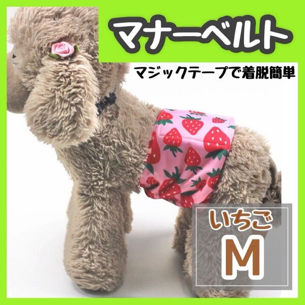 いちご M マナーバンド マナーベルト マナーウェア 猫服 犬の服 オス マナーパンツ わんこ服