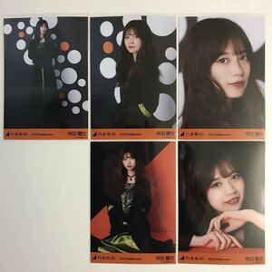 乃木坂46 寺田蘭世 ハロウィン 生写真 個別 5枚 コンプ 検) web 限定 2019.Halloween