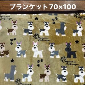 【新品】ミニチュアシュナウザー シルクマイヤーブランケット グリーン70×100