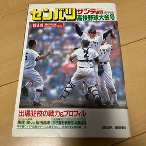 サンデー毎日 1989センバツ特集号
