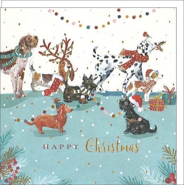 クリスマス 犬たちのクリスマス グリーティングカード イギリス 製 ポストカード 絵はがき 犬 ドック 雑貨 小物 パタミン クリスマスカード
