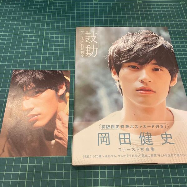 鼓動 岡田健史/著