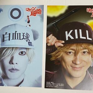 はたらく細胞 映画 アニメイト特典 リバーシブルミニポスター 佐藤健、永野芽郁、山本耕史、仲里依紗 非売品 2枚セット