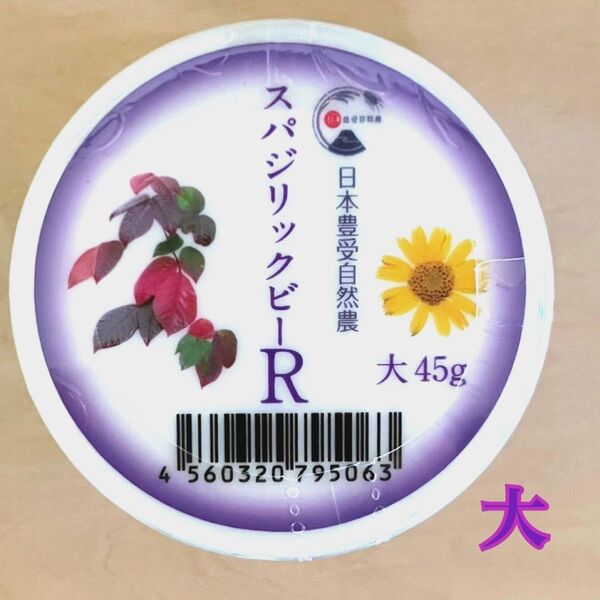 スパジリックビー Rクリーム 大 ホメオパシー