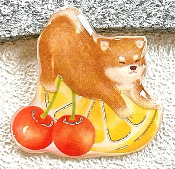 柴犬 茶柴 レモン さくらんぼ ブローチ ヘアゴム チャーム ピンバッジ
