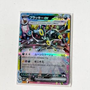 ブラッキーex テラスタルフェスex