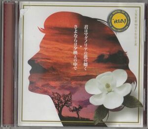 CD★林明日香／君はマグノリアの花の如く★レンタル盤