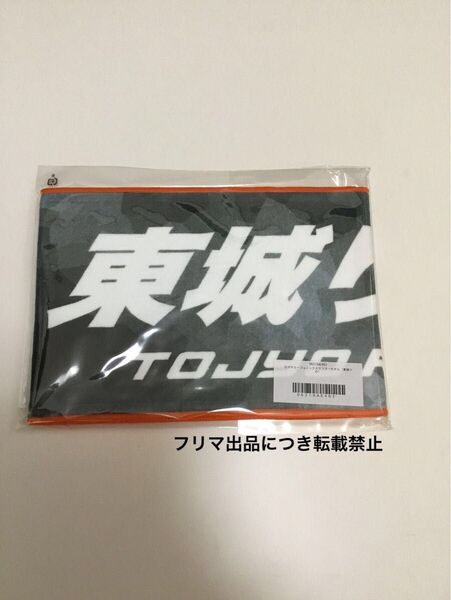 mリーグ セガサミーフェニックス 東城りお タオル 新品未開封