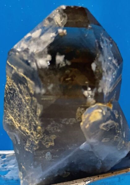 南洋美人【煙水晶】チンの峠 出品1
