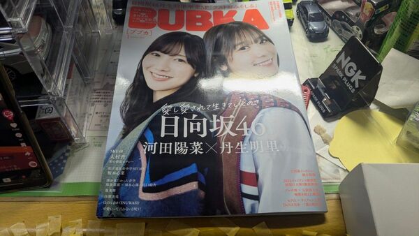 BUBKA(ブブカ) 2025年1月号 (白夜書房)