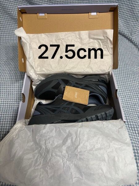 27.5cm asics GEL-TERRAIN PHANTOM/MOON MIST