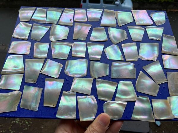 夜光貝 スライス 10枚セット 螺鈿細工 ハンドメイド