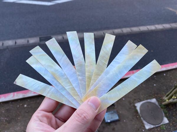 白蝶貝 10枚セット 12×1,5cm 螺鈿細工 ハンドメイド ハンドクラフト ルアー ボタン作りなどの素材