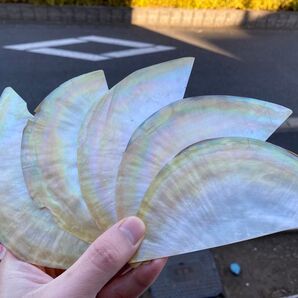 白蝶貝 5枚セット 螺鈿細工 ハンドメイド ハンドクラフト ルアー ボタン作りなどの素材