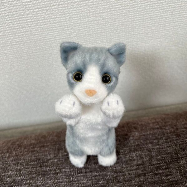 たっちぃzoo mini マンチカン シルバー ボールチェーン 新品