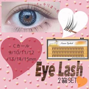 セルフマツエク マツエク つけまつげ つけま ボリューム アイラッシュ 10本束 目力 PM