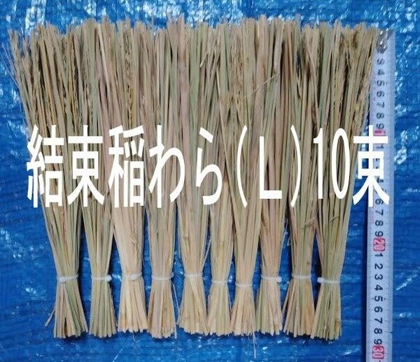 結束稲わら(Lサイズ)10束