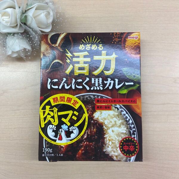 【期間限定・肉マシ10点セット】めざめる活力 にんにく黒カレー