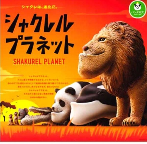 シャクレルプラネット パンダの穴 中古 全6種類 ライオン パンダ ミーアキャット コアラ ワニ シャチ フィギュア