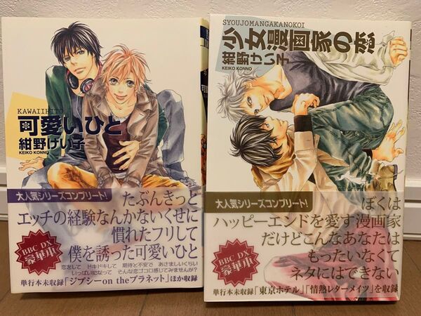 BLコミック「可愛いひと」「少女漫画家の恋」2冊セット