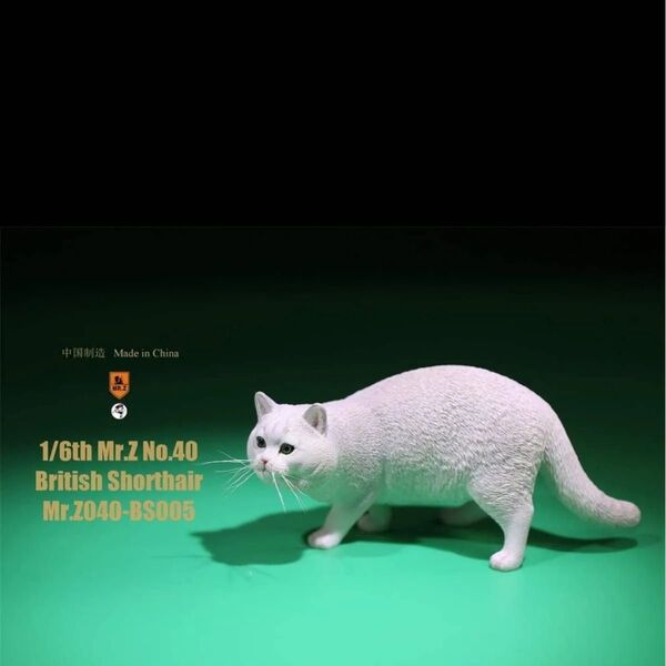 1/6 ブリティッシュショートヘア ホワイト クリーム フィギュア Mr.Z
