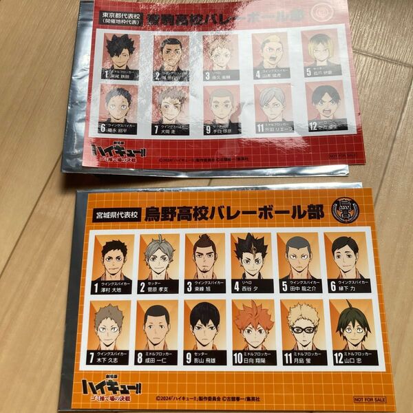 ハイキューゴミ捨て場の決戦 選手名鑑風ブロマイド
