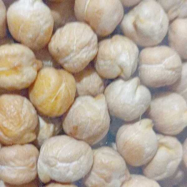 新品 ひよこ豆 約1kg