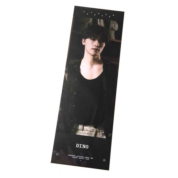 SEVENTEEN FML 4CUT PHOTO ディノ セブチ 4カット トレカ フォトカード
