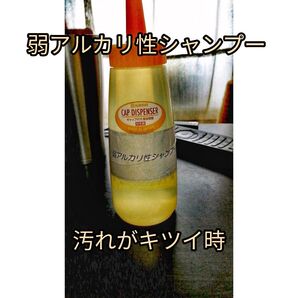 (カーシャンプー)弱アルカリ性カーシャンプー 泡○o。. Ⅱ 100ミリ