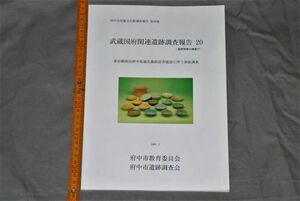 d1872) 府中市 武蔵国府関連遺跡調査報告 20 1998年　図1枚付き