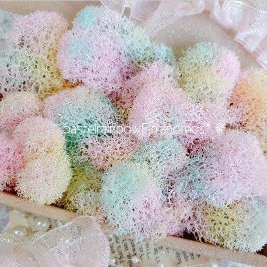 フィンランドモス パステルレインボー 花材 プリザーブドフラワー