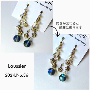 2024.No.36 ピアス イヤリング