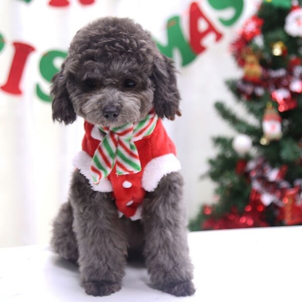 【ラスト1点!訳あり】クリスマス サンタ トナカイ ドッグウェア 犬服 コスプレ わんちゃん Lサイズ