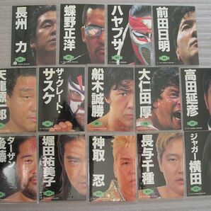 BBM97 プロレスカード レザーカード 14種