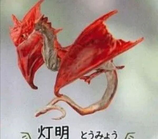 指乗せドラゴン 灯明 カプセルトイ ガチャ フィギュア 竜 指乗りドラゴン