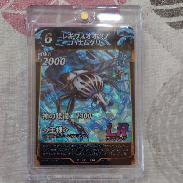 蟲神器 LR レギウスオオツノハナムグリ